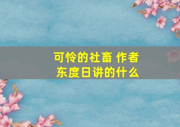 可怜的社畜 作者 东度日讲的什么